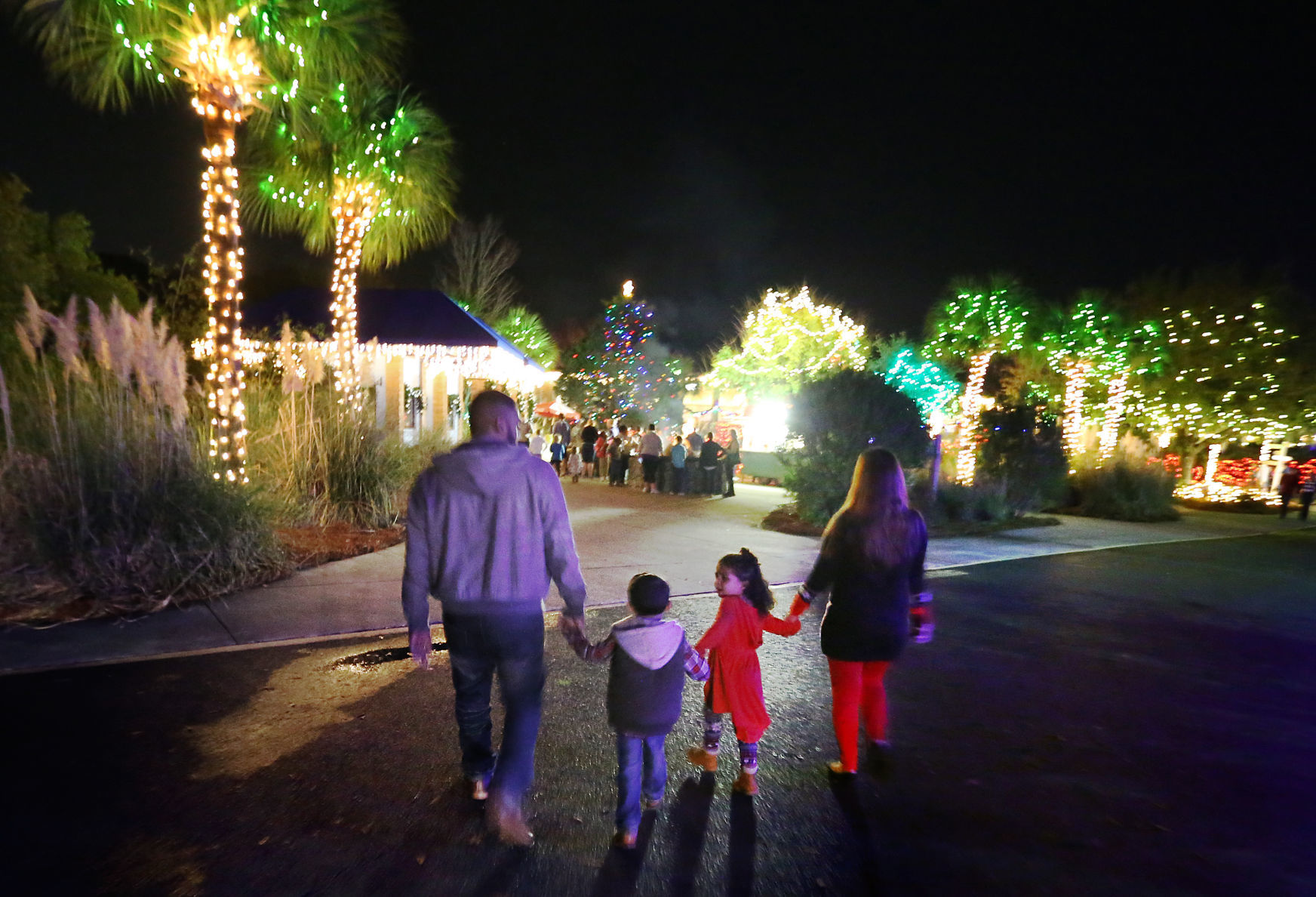 Lights.jpg (copy)